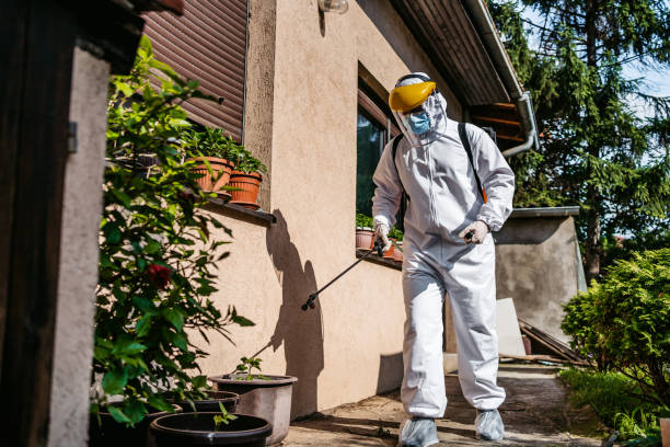 Wasp Removal Services in Oceanside, CA