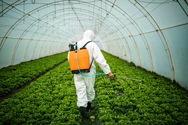 Best Pest Control for Homes  in Oceanside, CA