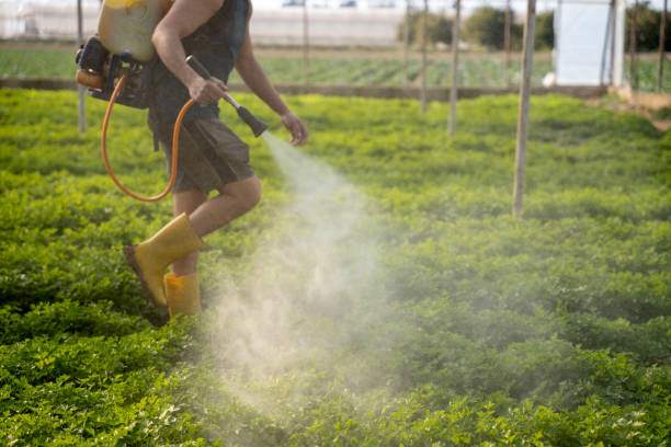 Best Pest Control Near Me  in Oceanside, CA