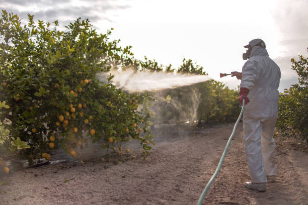 Best Residential Pest Control  in Oceanside, CA