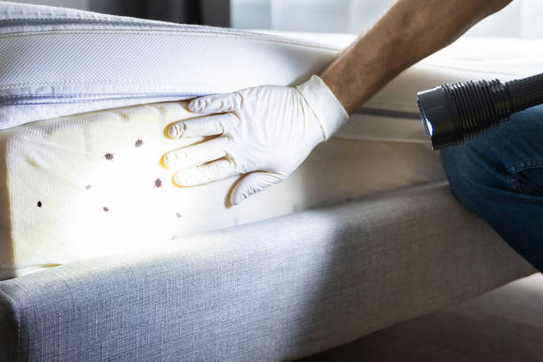 Best Pest Prevention Services  in Oceanside, CA